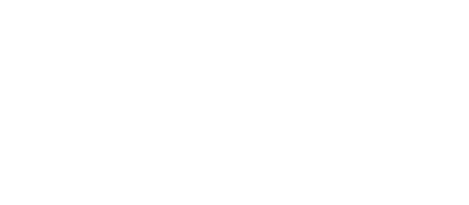 Persuit of Beauty